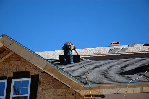 Roof Moss and Algae Removal in Valley, NE