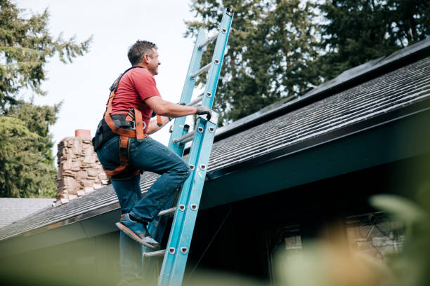 Best Roof Leak Repair  in Valley, NE