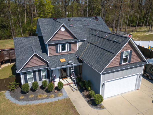 Best Roof Moss and Algae Removal  in Valley, NE